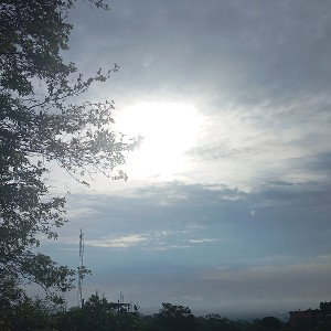 Último Latido