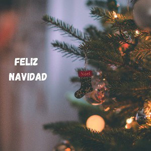 Mi Último Regalo 🎁 Navidad 🎄 Alejandro chwan & Ignacio González