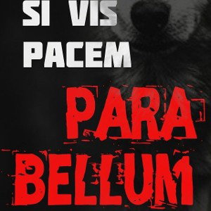 Si vis pacem para bellum