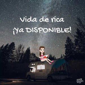 Vida de rica