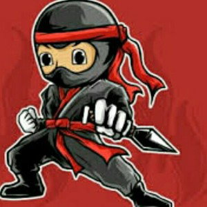 My Bro Ninja