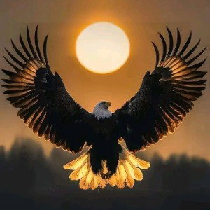 Nys one ⭐Wake up_ in the morning 