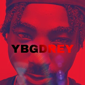 Ybgdrey - Shake That