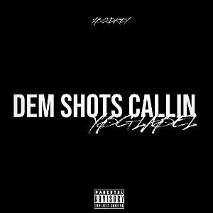 Ybgdrey - Dem Shots Callin