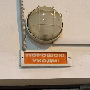 жизни не видела