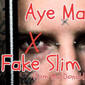 Fake Slim Shady
