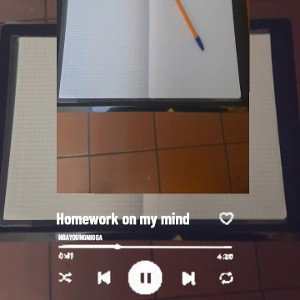 Murder on my mind (Parody) Homework on my mind