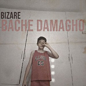 Bache damagho
