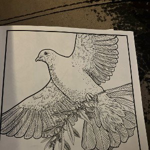 freestyle 