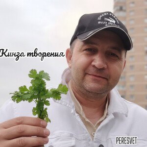 PERESVET- КИНЗА ТВОРЕНИЯ