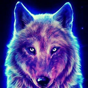 loup solitaire