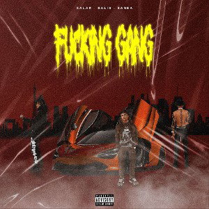 Fucking Gang 