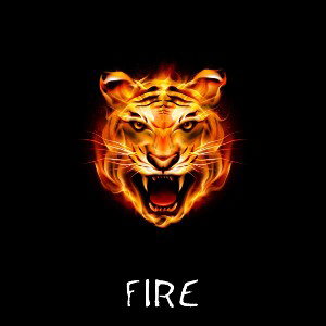 SRR - Fire | 160 bpm | Dm