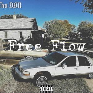 FREE FLOW - DK Tha DON [prod. by BGM LLE] (Official Audio)