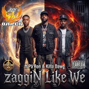 zaggiN Like We