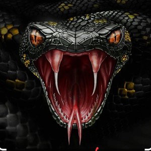  RATTLE SNAKE