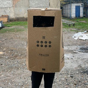 Адина