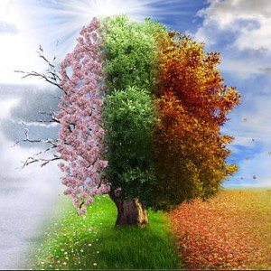 SeAsOnSoFcHaNgE