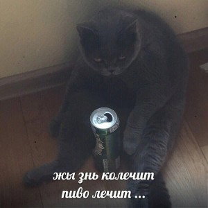 как-то что-то жиза