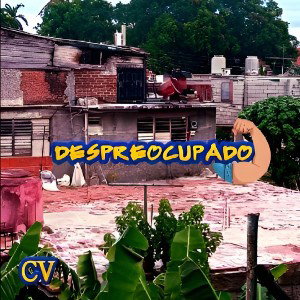 Joy Cael - Despreocupado | No TK en mi Canción 