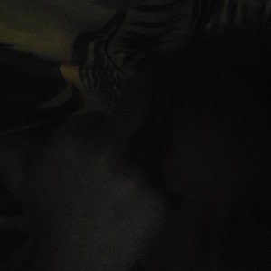 Dummie