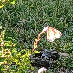 Hard To Forget  
