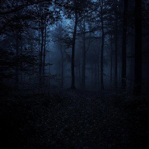 DIE DUNKLE NACHT