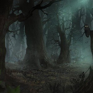WARNING! PIANO CHAOS///FOREST WILL DEATH