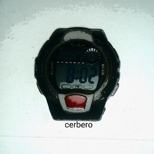 a  mis amigos .cerbero