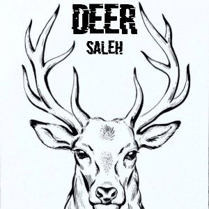 HO3EIN & SHAYEA & PISHRO & SORENA DEL TANGI (REMIX BY SALEH)