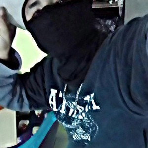 stylo