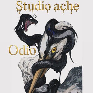 ODIO - Esteban Ache. 