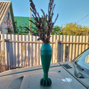 Жизненное__vktr_skrt