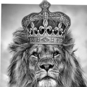 Soy el rey [ elmenoroscar]