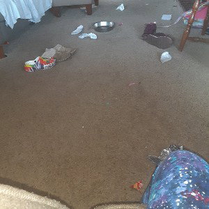 the 
