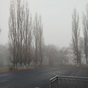 выбор без выбора