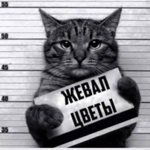 почему_же_дождик_капает_по_лужам_а_ты_бежишь_в_припрыжку_а_твои_глаза_сияют_ярче_звед_из_зо_рта_перегар_но_не_от_сигарет