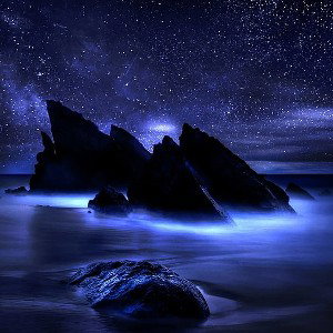 Dark Nights