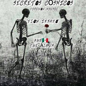 ™𝑨𝑯𝒁- 🇲🇽"𝑭𝑳𝑶𝑾 𝑰𝑵𝑺𝑨𝑵𝑶"𝑿(Mr...₩¥ ) 