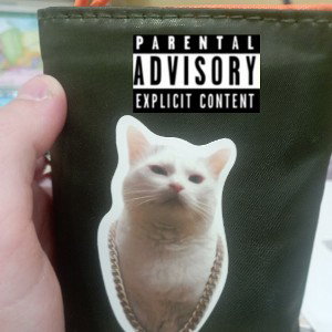 Мой кошель