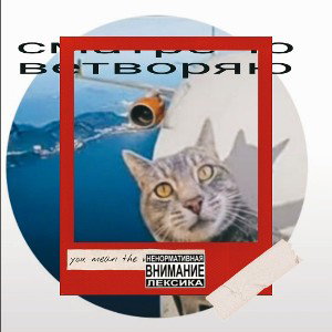 Я ГУЛЯЮ ПО УЛИЦЕ