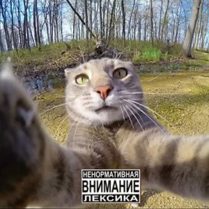 24 ЧАСА