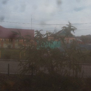 любил