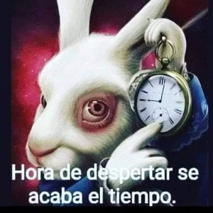 EL VIAJERO