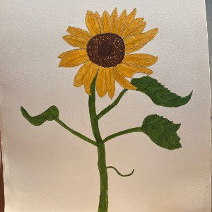 he picks me sunflowers 🌻 