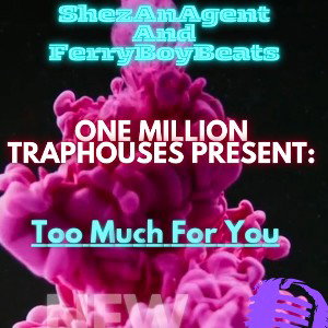 Too Much For You Ft. Ferry Boy Beats