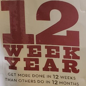 12 Week Year-Gone Wave 🌊