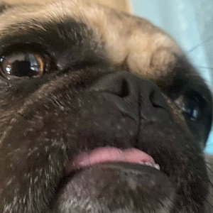 yo
