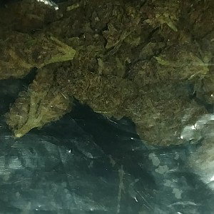 drugz