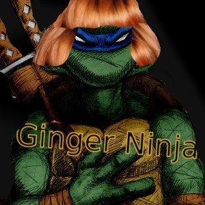 Ginger Ninja
